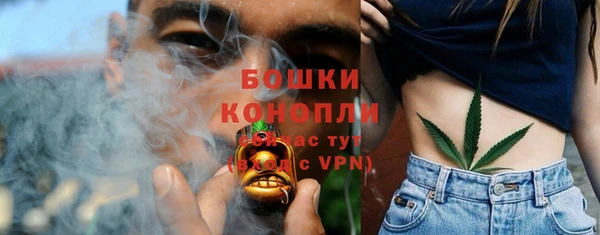 ПСИЛОЦИБИНОВЫЕ ГРИБЫ Алексеевка
