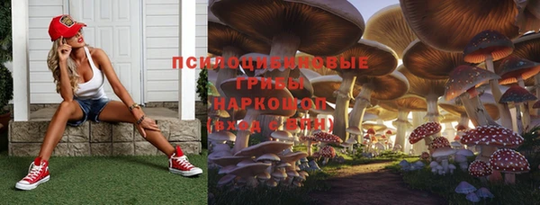 ПСИЛОЦИБИНОВЫЕ ГРИБЫ Алексеевка