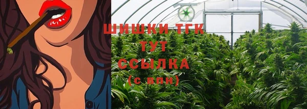ПСИЛОЦИБИНОВЫЕ ГРИБЫ Алексеевка