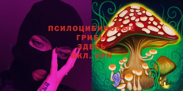 mix Алексин